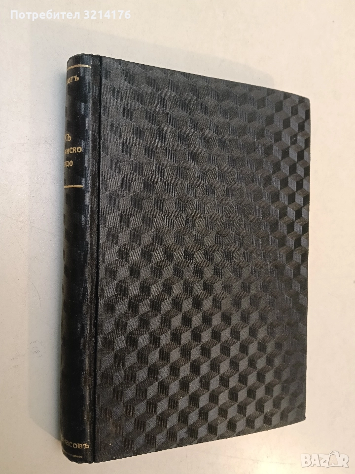 Димъ. Дворянско гнѣздо - Иван С. Тургенев (Луксозна изработка, Отлично състояние, 262 + 161 стр.), снимка 1