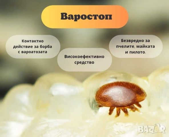 Варостоп Varostop, снимка 5 - За пчели - 45133614