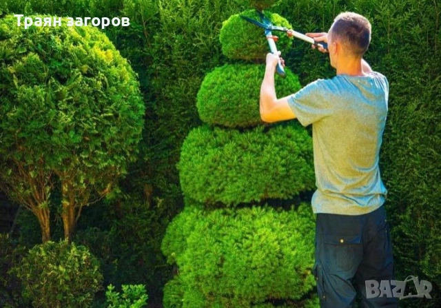 косене на трева, рязане(кастрене) на дървета,почистване на терени, снимка 5 - Други почистващи услуги - 53015352