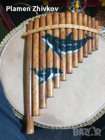 южноамериканска бамбукова флейта 