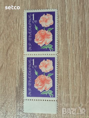 България Флора цветя рози 1962 г. чифт, снимка 1 - Филателия - 46454391