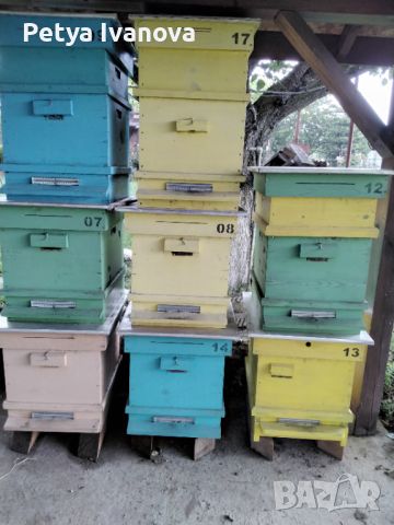Пчелни кошери и инвентар 