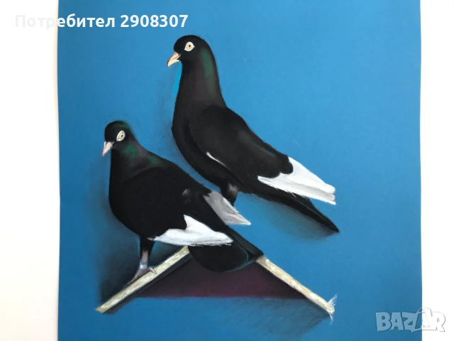 Портрет на домашен любимец