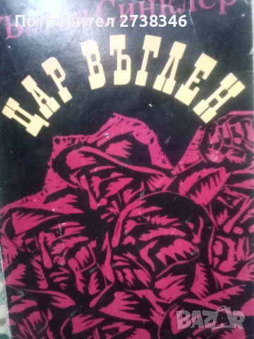 Цял лот от книги за Историята, снимка 15 - Художествена литература - 52417572