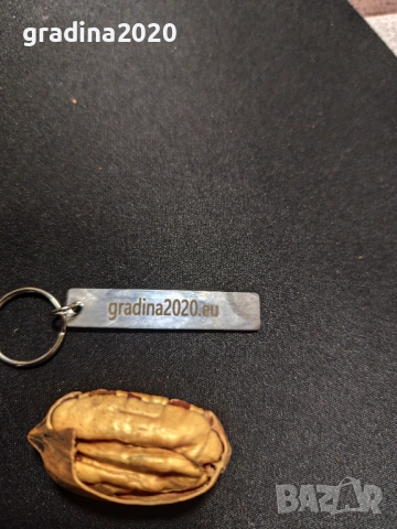 Разсад Орех Пекан, снимка 9 - Разсади - 47897139