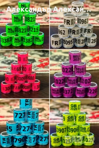 Пръстени 2026г.и щракалки за  гълъби, снимка 3 - Гълъби - 28209873