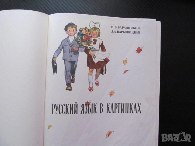 Русский язык в картинках Руски език в картинки семейство животни говорене четене писане дрехи градин, снимка 2 - Учебници, учебни тетрадки - 53563377
