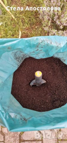 🌿 Силата на природата в чист вид – Биотор от Калифорнийски Червей 🌿, снимка 2 - Стайни растения - 53888638