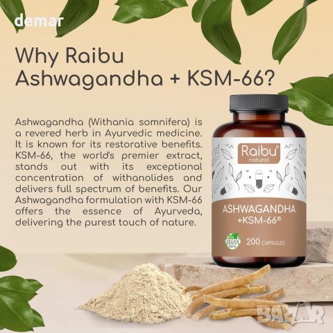 Raibu Ashwagandha KSM-66® - 200 вегански капсули ашваганда, натурален, лабораторно тестван , снимка 3 - Хранителни добавки - 45717502