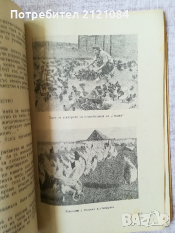 Първият зърнен совхоз / Ф.А.Бойко, снимка 2 - Специализирана литература - 45023391
