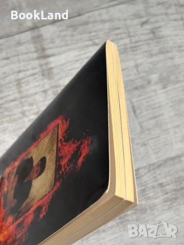 Боряна като същност. Книга трета, снимка 4 - Други - 53565091