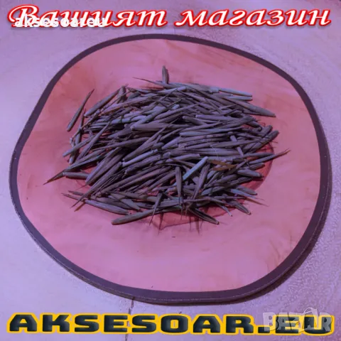 100 бр. нови висококачествени семена Студоустойчив черен бамбук от САЩ за Декорация дома грасдината, снимка 9 - Сортови семена и луковици - 49812622