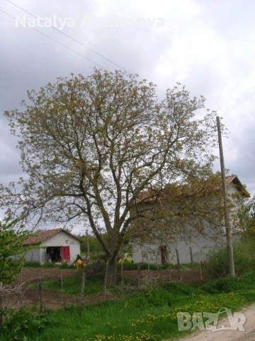 Парцел за продажба в Ведрина, Добрич, снимка 2 - Парцели - 53634666