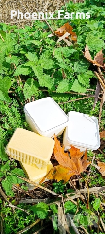 Домашно зряло краве сирене , зрял кашкавал , снимка 2 - Домашни продукти - 52590007