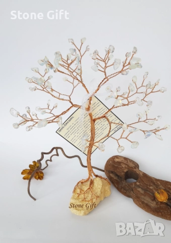 Дръвче Лунен Камък Едър , снимка 5 - Други - 52107633