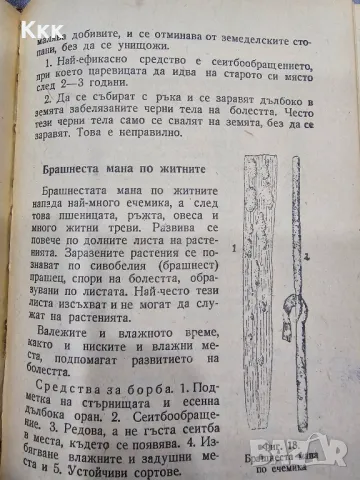 Наръчник по растителна защита от 1953г., снимка 3 - Специализирана литература - 48787470