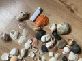 Миди и раковини за декорация, снимка 2