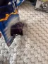 Hot wheels Red Line-стар, снимка 4