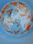 Продавам Езерни златни рибки, снимка 5