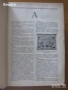 История на пластичните изкуства.Н.Райнов;Поучения за войника-гражданинъ;Българска енциклопедия 1936г, снимка 17