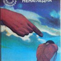 Гневът на Ненагледна - Леонид Панасенко, снимка 1 - Художествена литература - 45492221