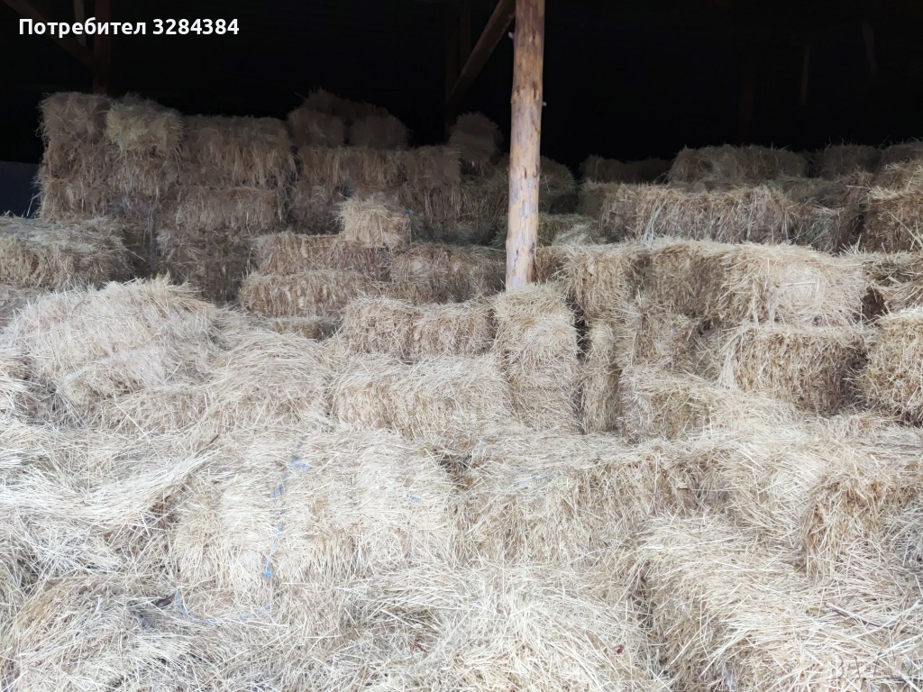Бали сено, първи откос, реколта 2025, снимка 1