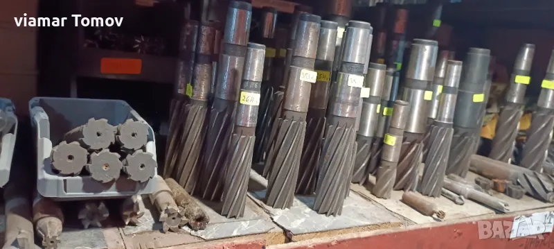 Райбери, фрези , снимка 1