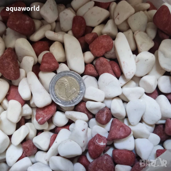 "ПРОМОЦИЯ" Грунд Бяло с кафяво 8-12 мм , снимка 1