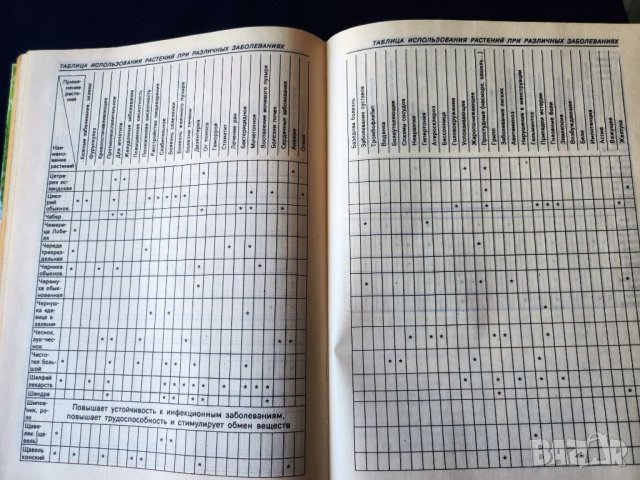 Лекарствени растения - Лекарственные растения в каждом доме и Горските плодове-храна и лечебно средс, снимка 4 - Специализирана литература - 46714682