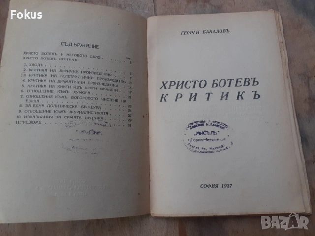 Стара царска книжка книга Христо Ботев критик, снимка 2 - Антикварни и старинни предмети - 54295115