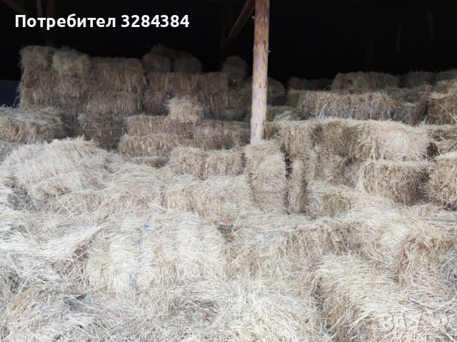 Бали сено, първи откос, реколта 2025