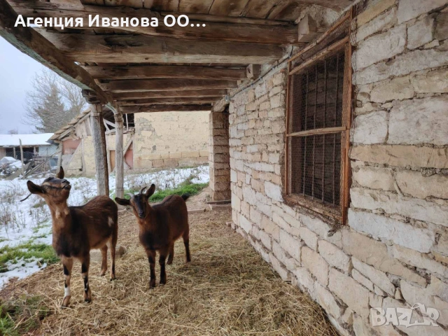 Къща в с.Еленово, общ.Попово, снимка 4 - Къщи - 53366379