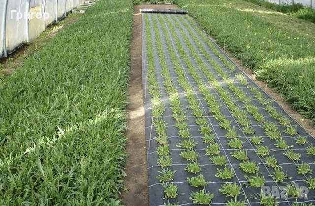 Зебло против плевели! Парчета и ролки!, снимка 5 - Други стоки за дома - 53680467