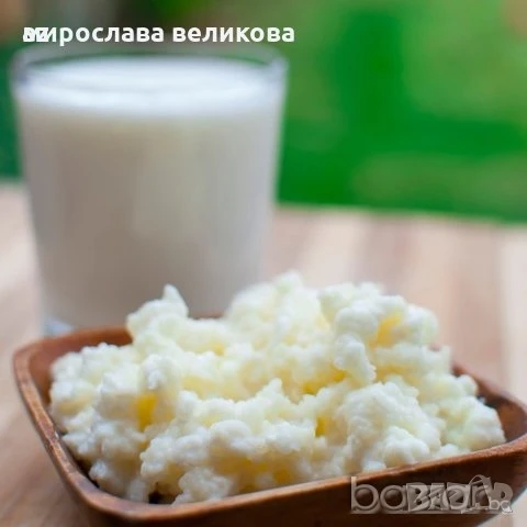тибетска гъба, снимка 4 - Домашни продукти - 50805128