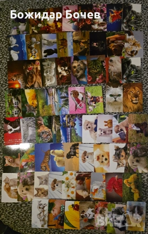 Календарчета- Футбол, Балкан, Животни , снимка 5 - Колекции - 53294962
