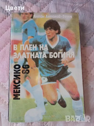 футбол В плен на златната Богиня