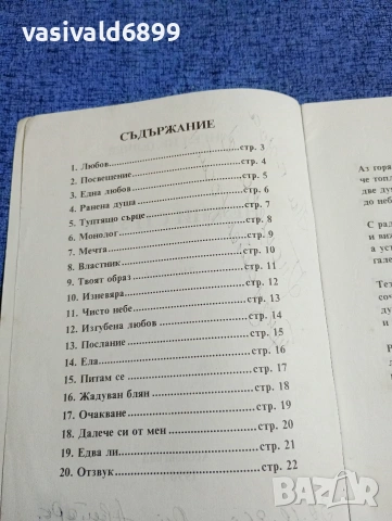 Ангел Неделчев - Нежни струни , снимка 5 - Българска литература - 53638775