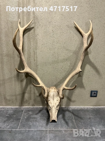 Еленски трофей