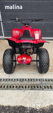 Атв 100кубика внос от Германия , снимка 8 - Мотоциклети и мототехника - 54273784