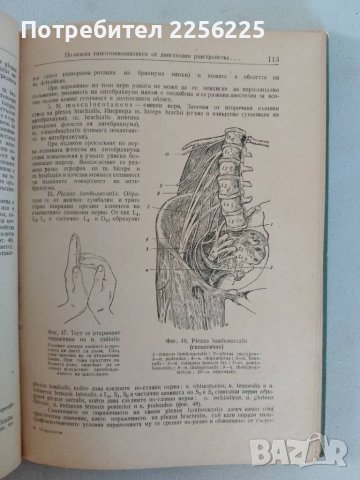 "Практическо ръководство по неврология", снимка 7 - Специализирана литература - 47482195