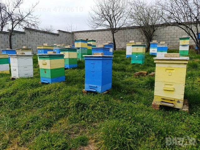 Продавам пчелни семейства 