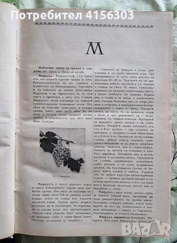 Земеделска енциклопедия. С. Ботев. И. Ковачев. 1937/1939., снимка 3 - Специализирана литература - 53723711
