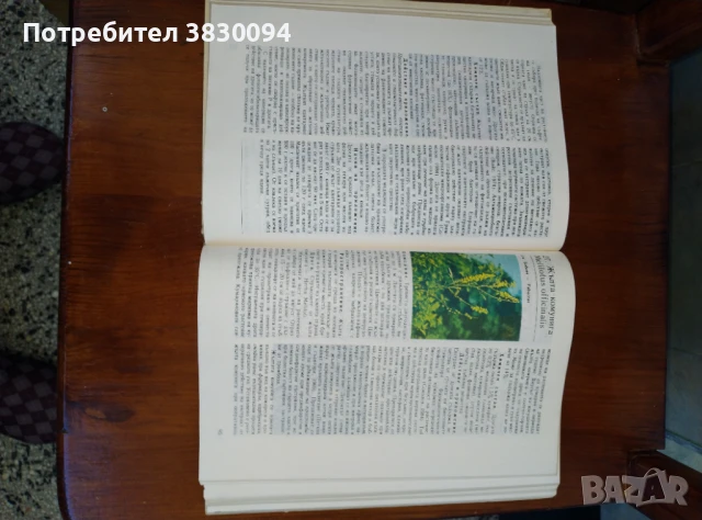 Природна аптека, снимка 3 - Специализирана литература - 50764935