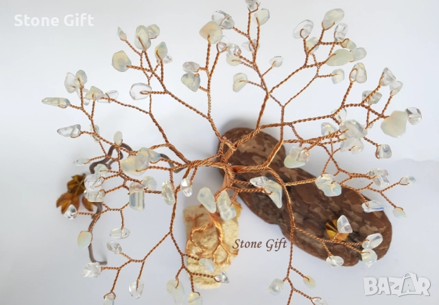 Дръвче Лунен Камък Едър , снимка 2 - Други - 52107633