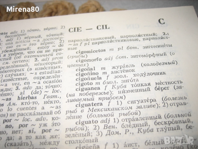 Испанско-руски речник - 1988 г., снимка 5 - Чуждоезиково обучение, речници - 52123099