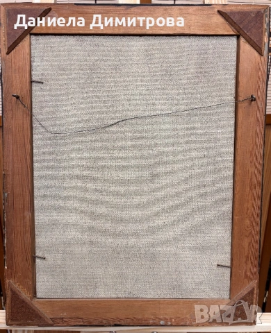 Рисувана картина на фазер, снимка 10 - Картини - 54205558