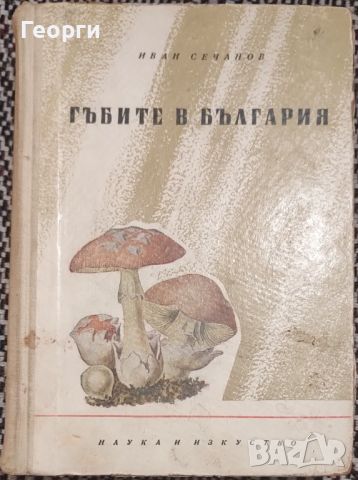 Иван Сечанов / Гъбите в България( без карти! ), снимка 1 - Специализирана литература - 45696770