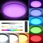 ПРОМОЦИЯ 24W RGB LED плафон с дистанционно и регулируема светлина OEEGOO LS-CL-B24W-DIM+RGB, снимка 2
