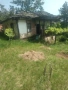 Продавам Стара автентична къща, снимка 2