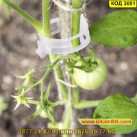 50 броя клипс за поддържане на домати и растения - КОД 3691, снимка 3 - Други - 45096093